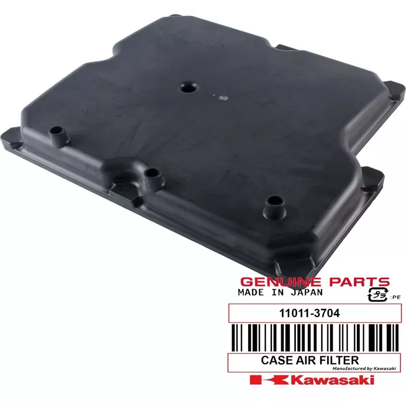 11011-3704 CASE-AIR FILTER RR