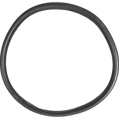 Aladdin Equipment Co. O-Ring – O-172