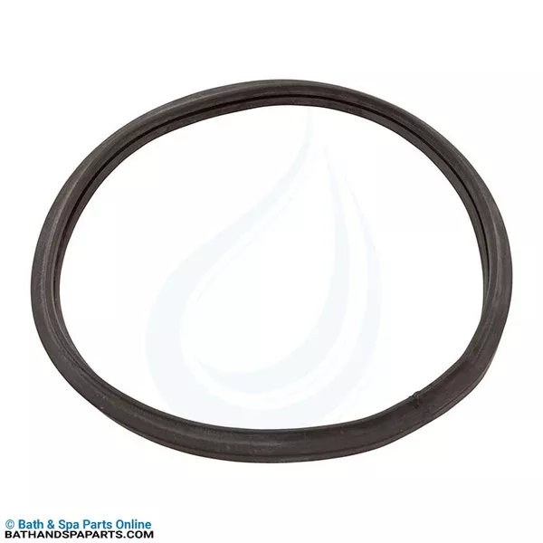 Aladdin Generic StaRite/Pentair Light Lens Gasket (O-492)