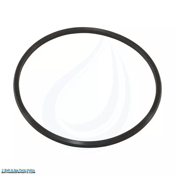 AquaPro AL75 Trap Lid O-Ring (10062-ACC)