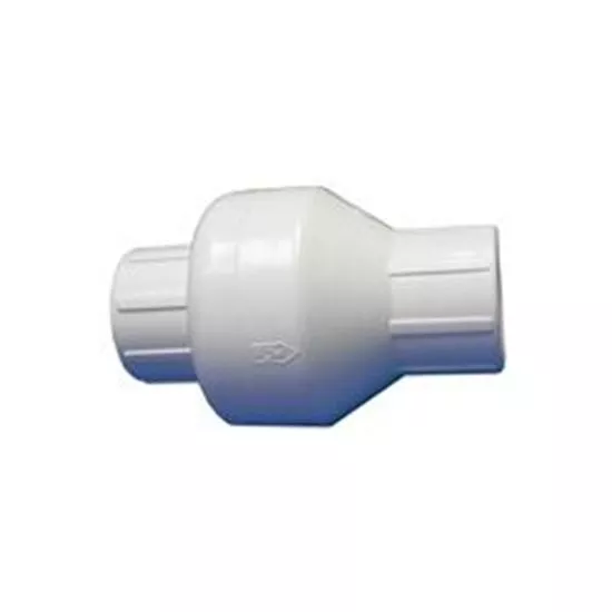 Check Valve, Cmp, Swing, 1" Slip X 1" Slip, White 25062-000