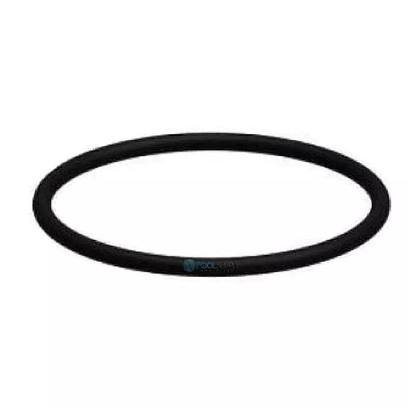 ChemStar CH100 Chlorinator O-Ring