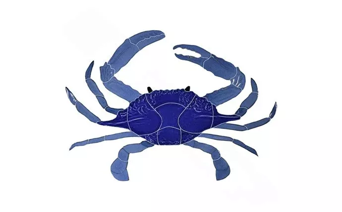 CRABLUM 12" x 16" Crab Blue