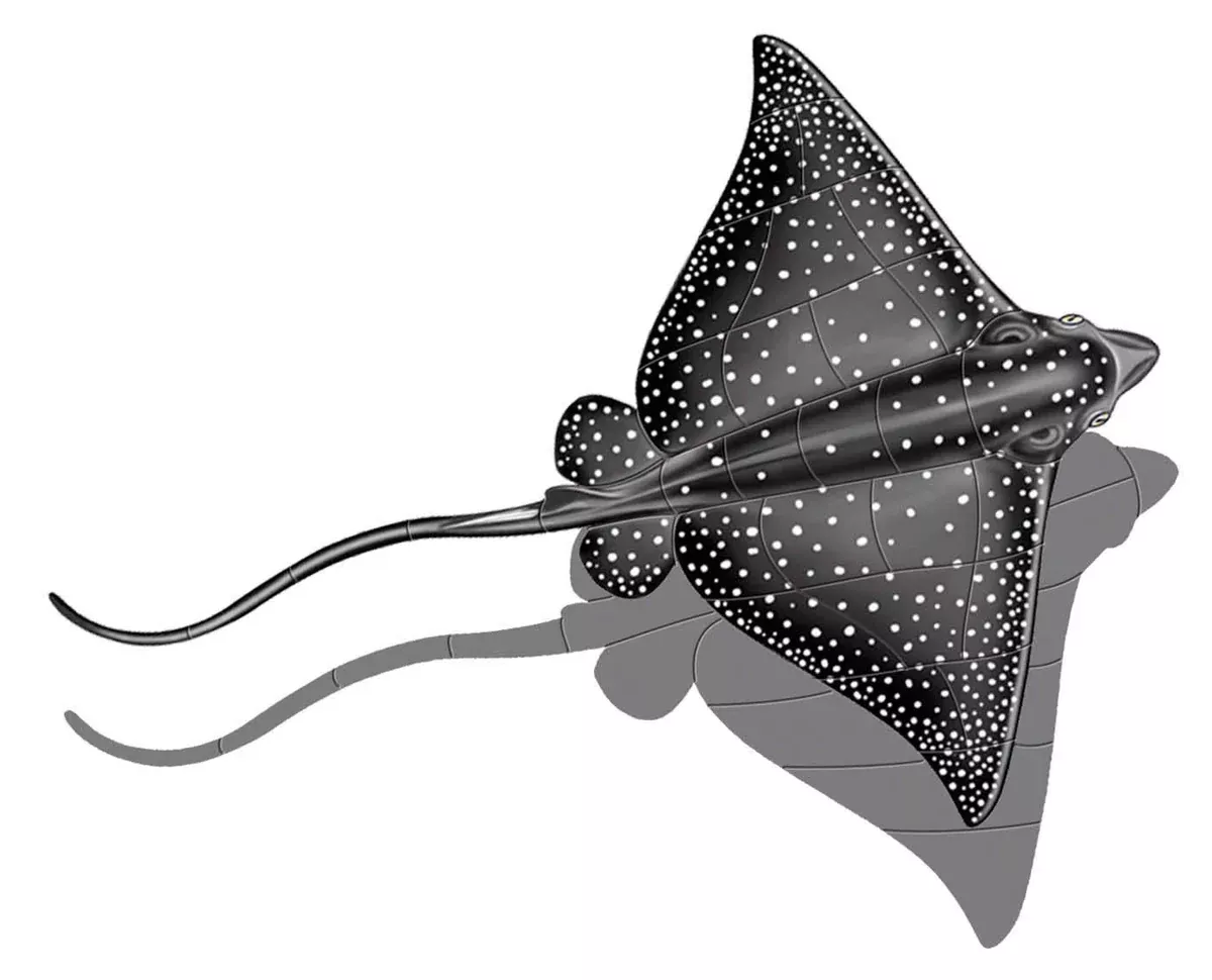Eagle Ray Porcelain Swimming Pool Mosaic