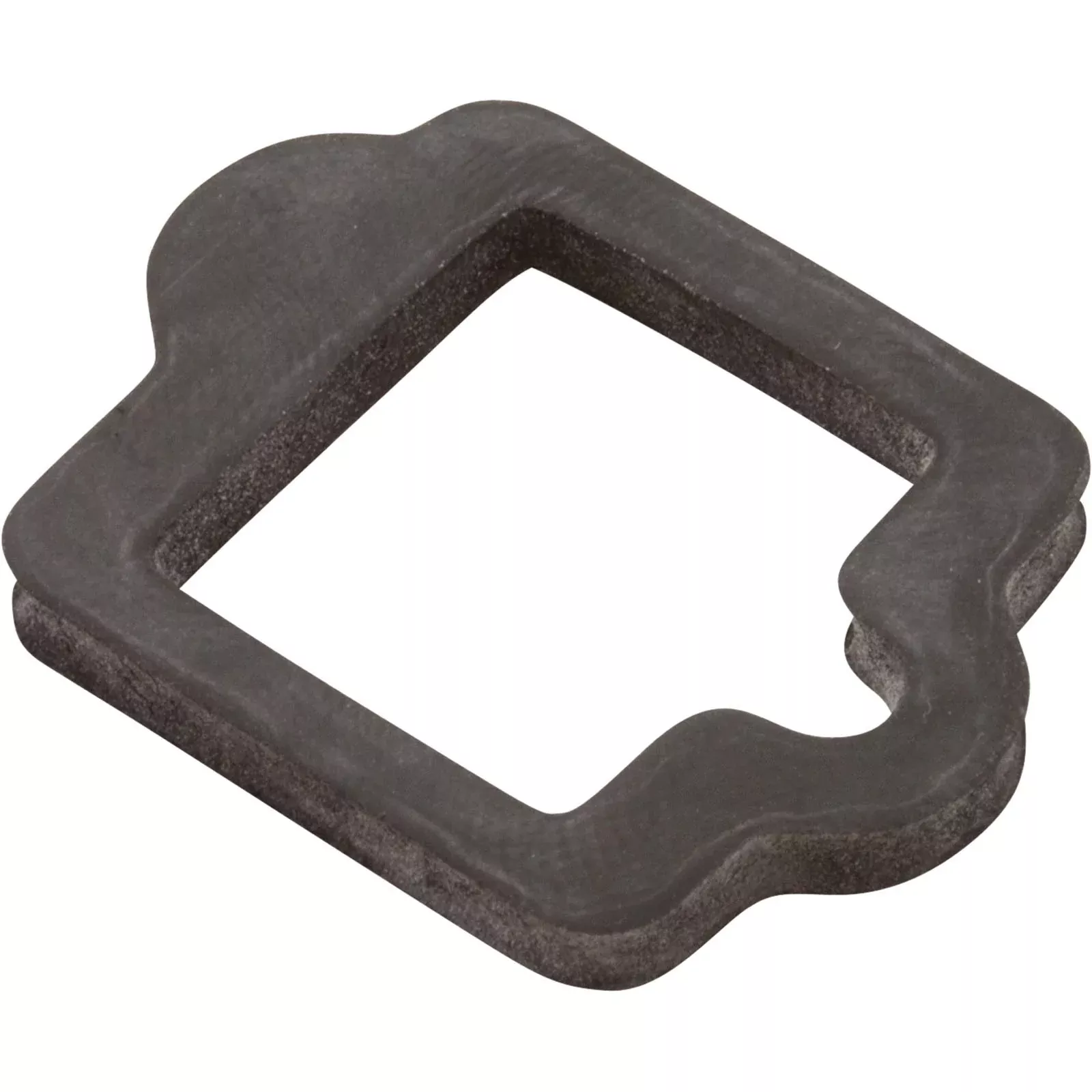 Gasket Pentair IntelliFlo VS Drive 350108