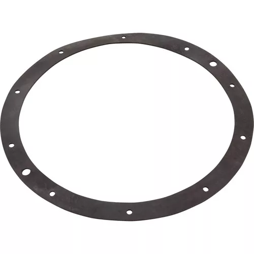 Gasket Pentair Light Niche Rubber Generic G-110R