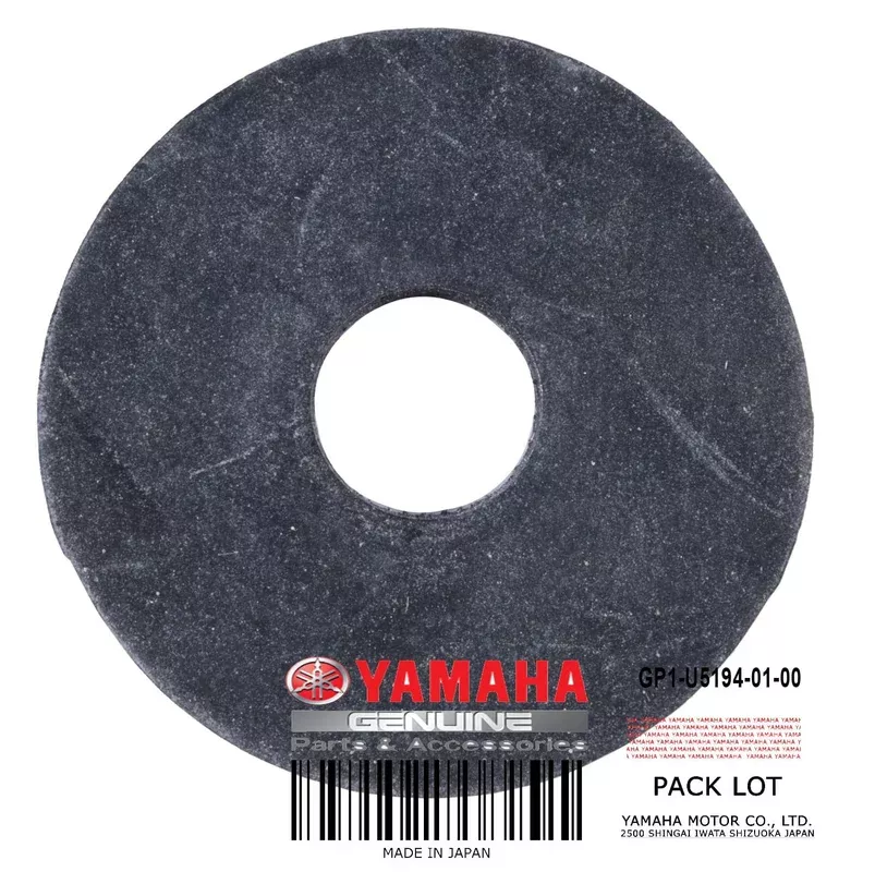 GP1-U5194-01-00 WASHER SPECIAL
