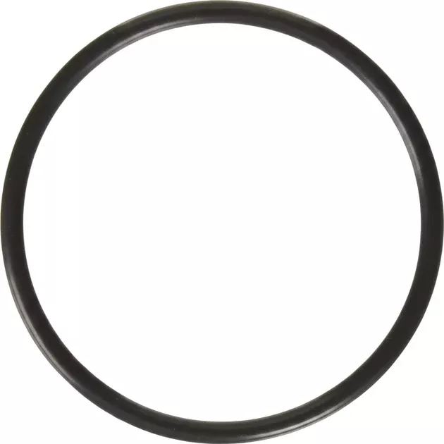Hayward Cover O-Ring (Viton) for Automatic Chlorine Feeders CL100 CL110 CL110ABG | CLX110K