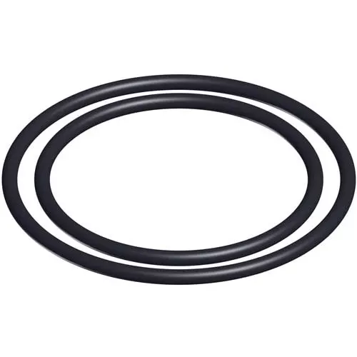 Hayward O-Ring Kit (Set of 2) for SwimClear Cartridge Filters and ProGrid DE Filters | DEX2420Z8A
