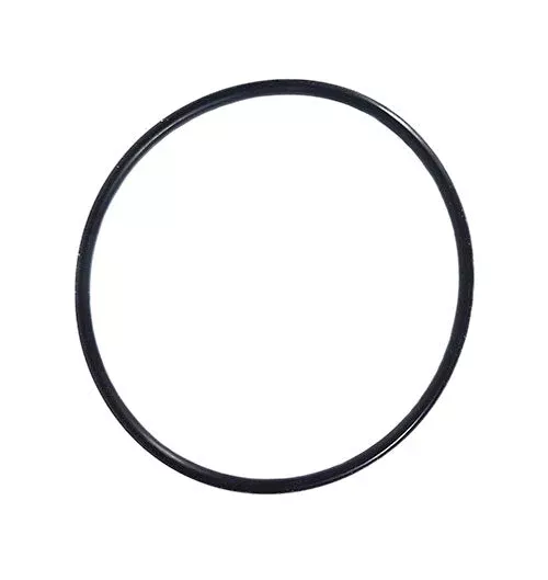 Hayward O-Ring for Salt Cell GLX-DIY-ORING