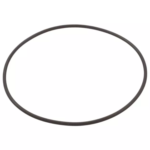 Hayward O-Ring for SwimClear Single Element Cartridge Filter 150 Sq.Ft. | CXFHR1001