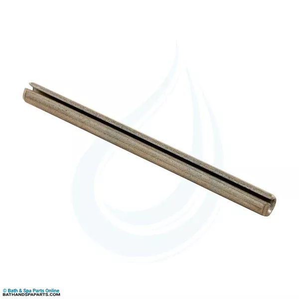 Hayward Perflex EC50 Pivot Pin (ECX100Z9)