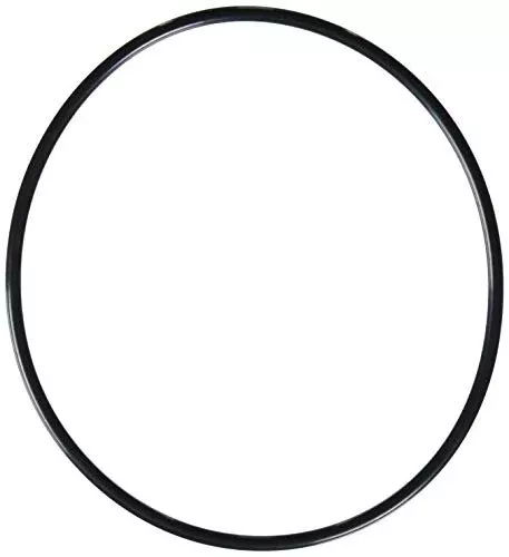 Hayward SX200Z6 O-ring Replacement for Select Hayward Sand Filter