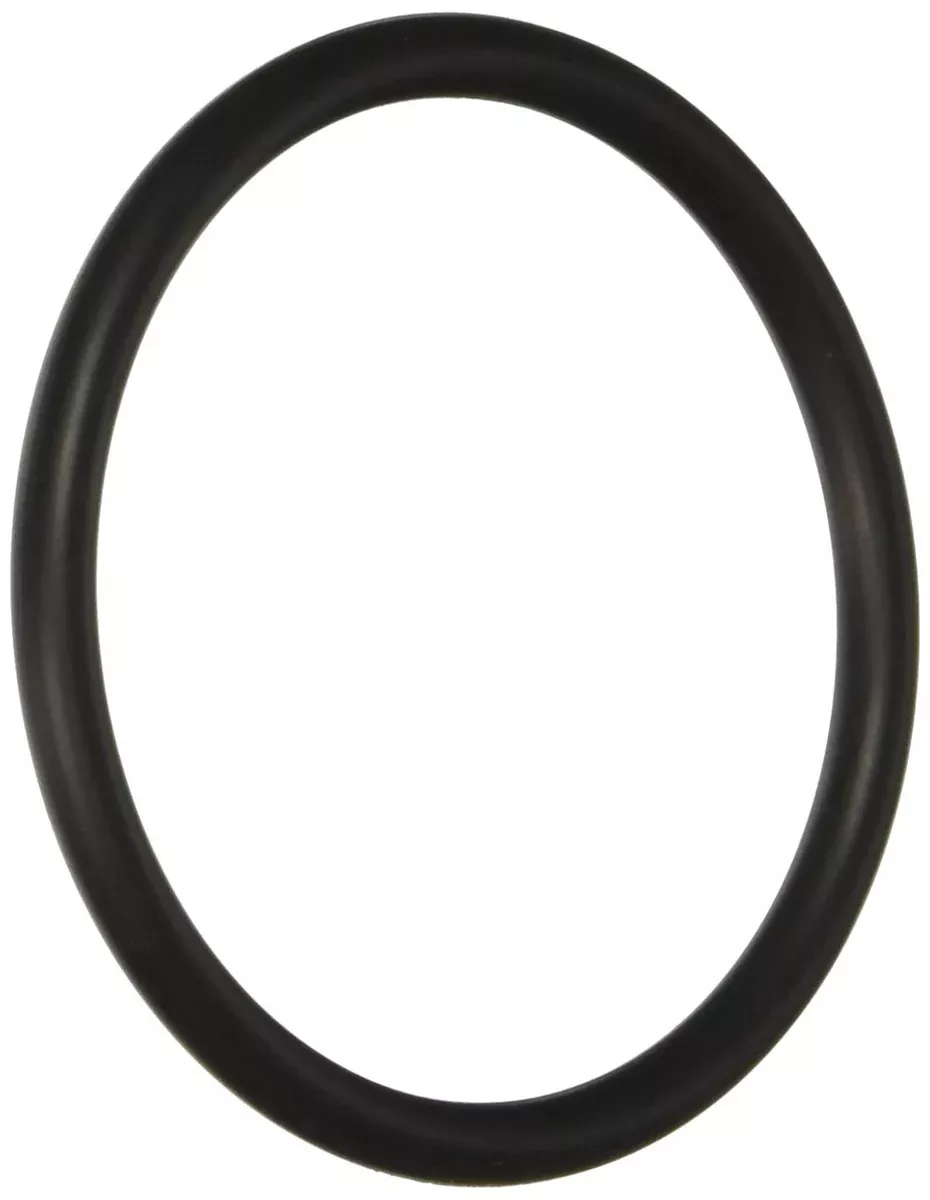 Hayward SX220Z2 Large O-ring Replacement for Hayward Pump and Filter