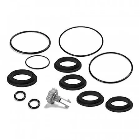 Intex Replacement Gasket and Air Release Valve Set for Sand Filter Pumps