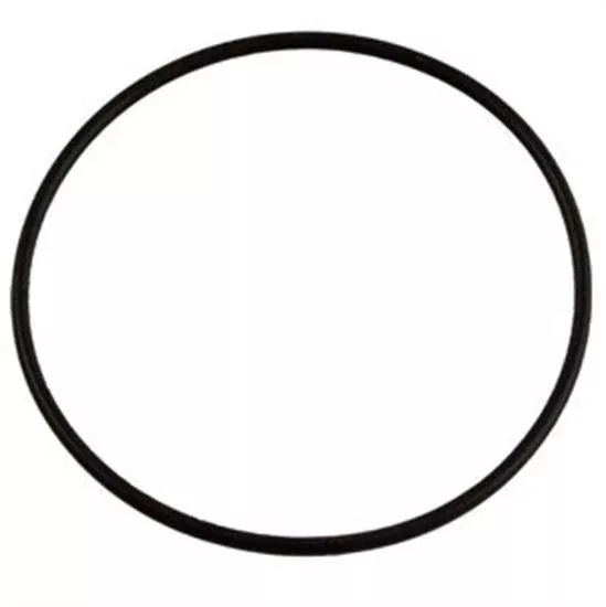Jandy Energy Filter O-ring Kit - R0374500