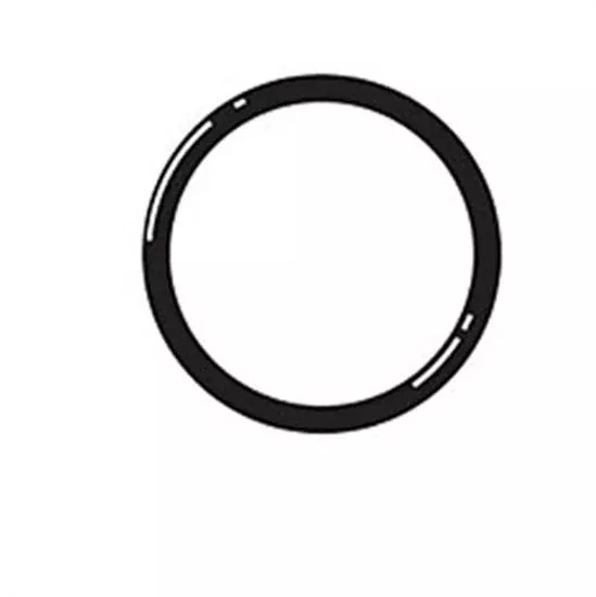 Lasco 2" Union O-Ring Viton