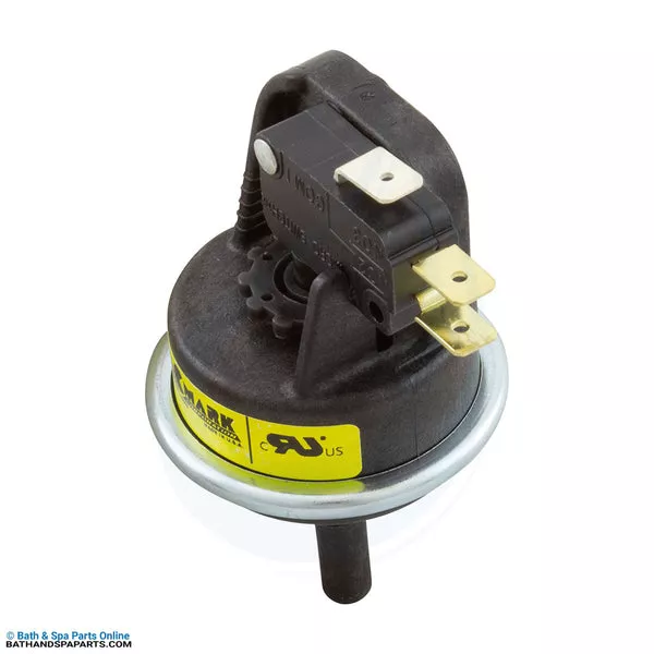 Lochinvar Water Pressure Switch Kit [EnergyRite Heater] (100166256)