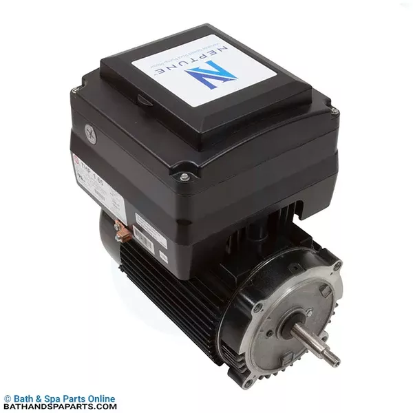 Nidec/US Motors 1.25 THP [13.6A] [48Y/CF] Pool Motor (NPTT125)