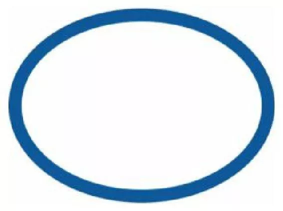 Paramount Base O-Ring - 5302010000