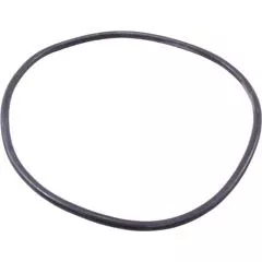 Paramount O-Ring, Paramount EDC Debris Canister, Lid | 005-152-2206-00