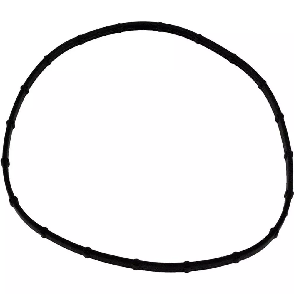 Pentair 05101-0002 Gasket Replacement Sta-Rite Sunsaver Pool and Spa Light