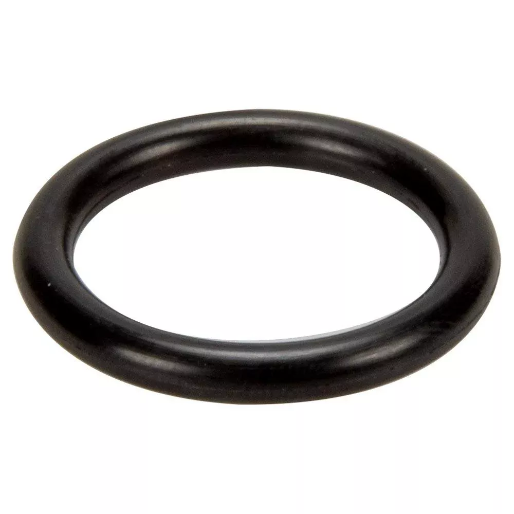 Pentair 191479 O-Ring Replacement Pool/Spa Valve and Filter