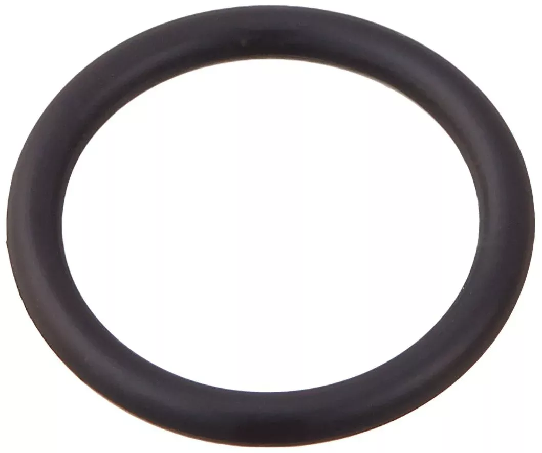 Pentair 192039 BunaN 70 Shore O-Ring Replacement Pool and Spa Valve