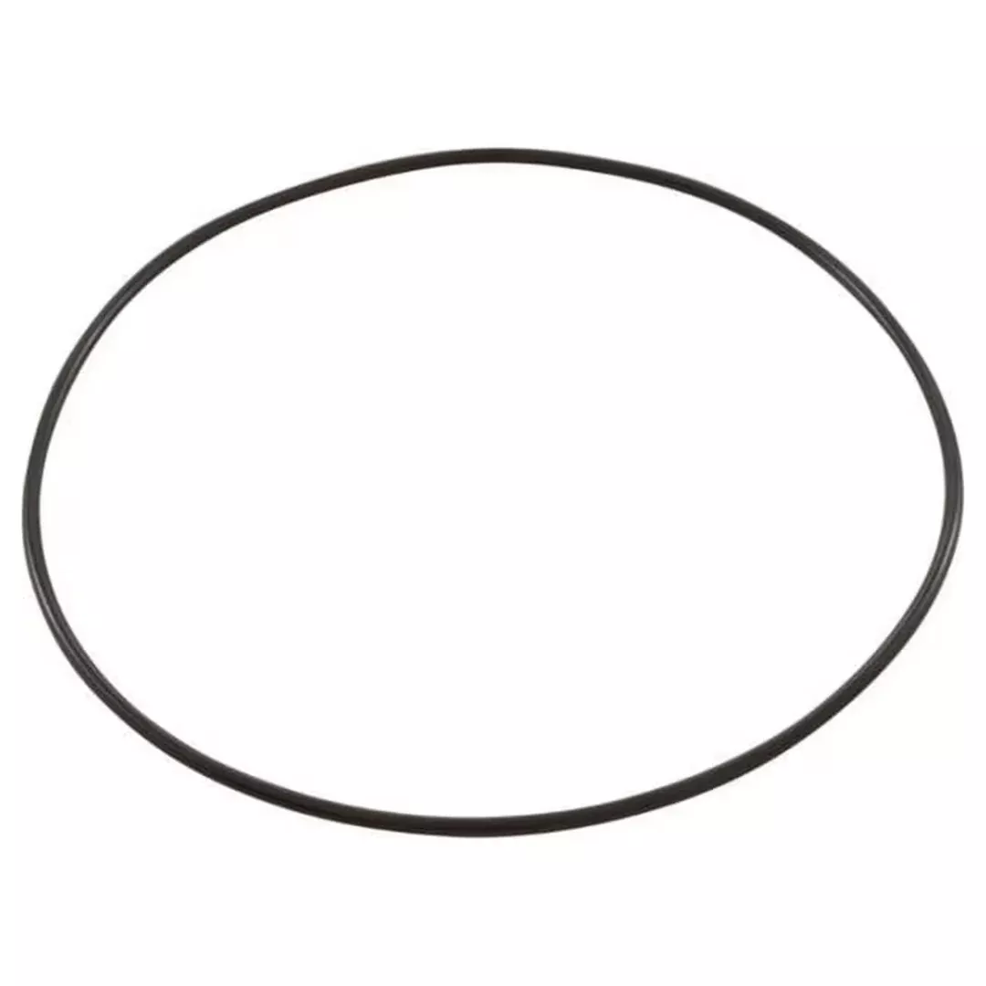 Pentair 271151 Replacement O-Ring 2″ Valve Top