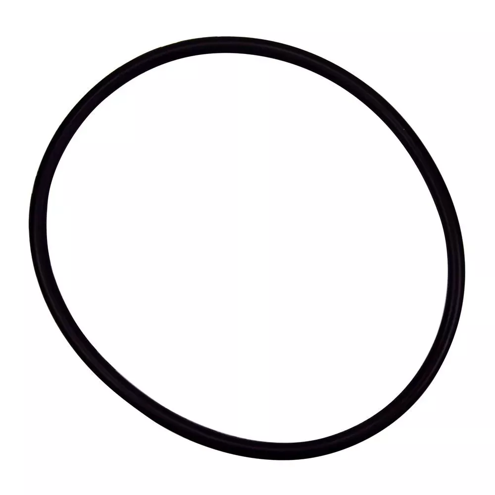 Pentair 350037 Diffuser O-Ring Replacement EQ-Series Commercial Pool and Spa Pump