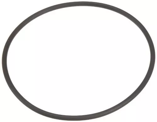 Pentair 35505-1438 Seal Plate O-Ring Replacement for Select Sta-Rite Pool and Spa Aboveground Pump