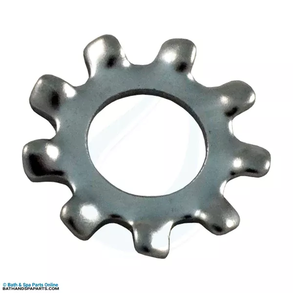 Pentair #8 Lock Washer (U43-21SSZ)