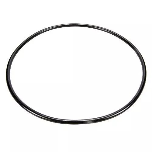 Pentair 87300400 Body O-Ring Replacement Pool and Spa Filter
