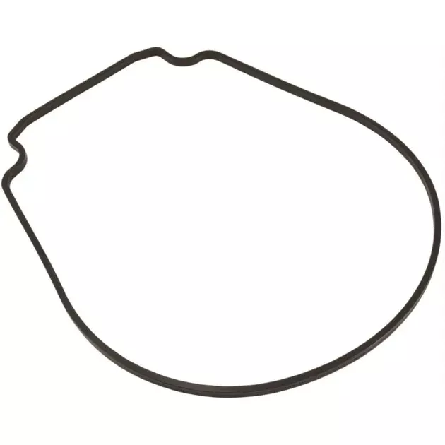 Pentair Almond Seal Plate Gasket | IntelliFlo | 357102Z