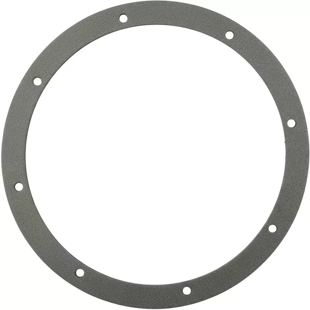 Pentair Gasket Set, American 8 Hole Pattern 2-pack | Large Stainless Steel Niches | 79200300