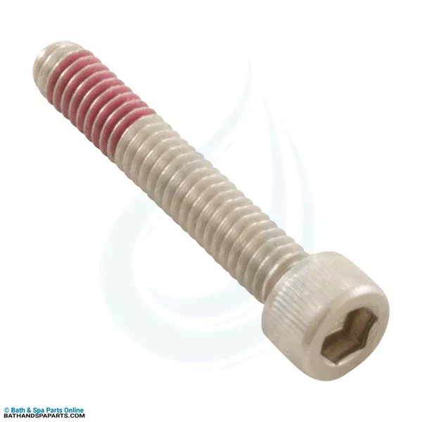 Pentair IntelliFlo XF/VS 8-32 x 1″ Diffuser Screw (353323Z)