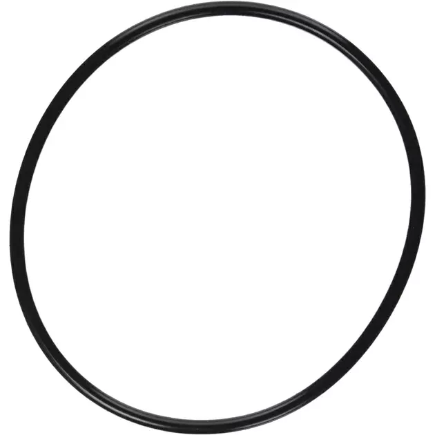 Pentair Lid O-Ring #2-357 | SuperFlo, SuperMax & OptiFlo Pumps | 357255Z
