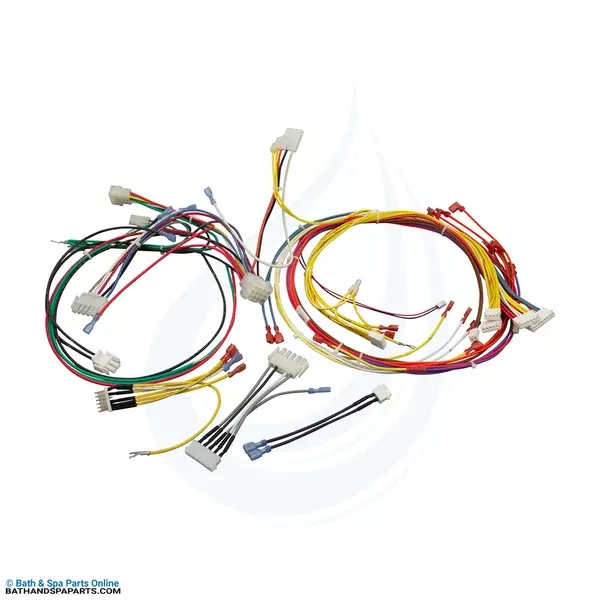 Pentair MasterTemp 125 120/240V Wire Harness (461107)