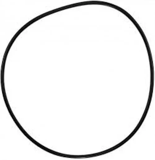 Pentair O-Ring C-18 | 071433