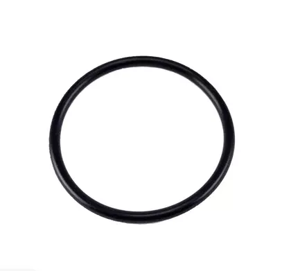 Pentair O-Ring Diffuser Replacement – U9-226