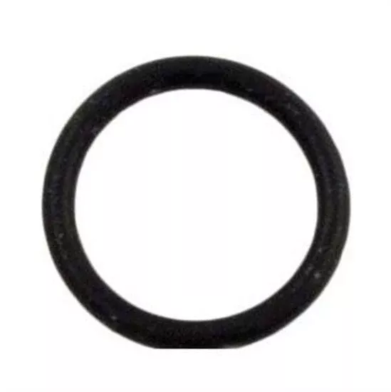 Pentair O-Ring Valve Stem 2″ – O71