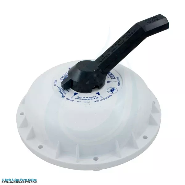 Pentair PacFab 2" High Flow Valve Lid Assembly (272422)