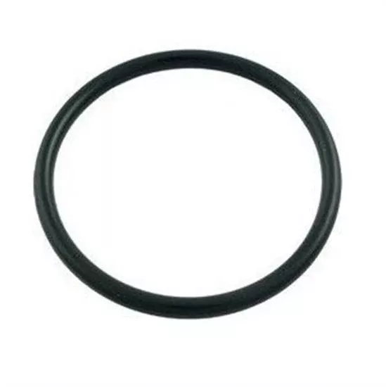 Pentair PacFab 2″ O-Ring – O24