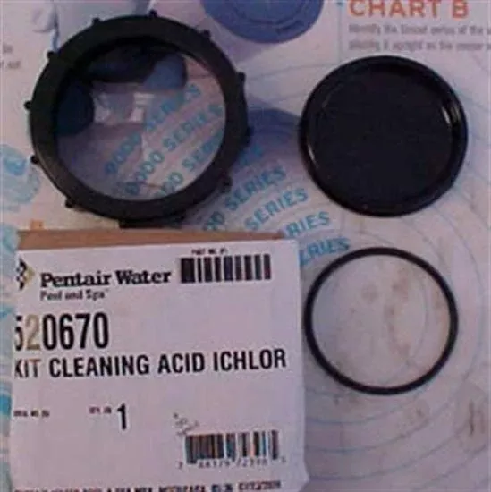 Pentair PacFab Intellichor Acid Cleaning Kit