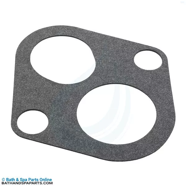 Pentair Pool Products Special Gasket (J20-12)