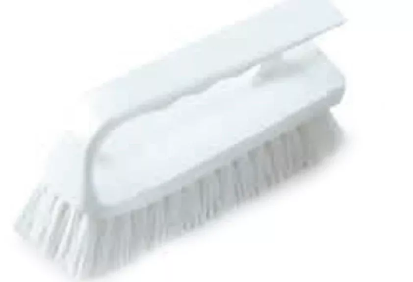 Pentair Rainbow Mini Scrub Brush 652 – R111566