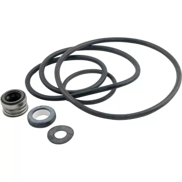 Pentair Seal/Gasket Kit | Sta-Rite DynaGlas, DynaPro & DynaJet | PP3000