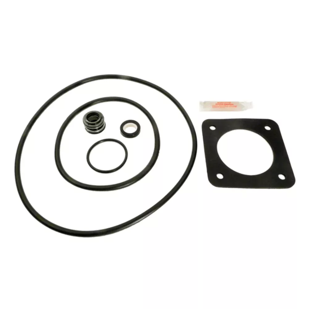 Pentair Sta-Rite Dura-Glas and Max-E-Glas Pump Repair Kit – Pre 1998 Models
