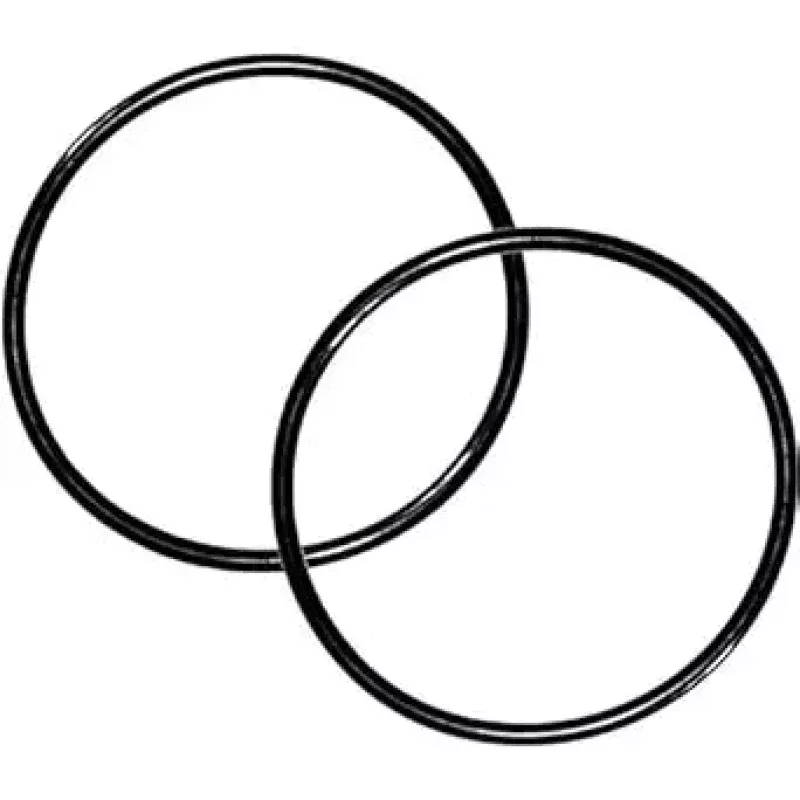 Pentair SuperFlo VS/VST Union Adapter O-Ring (2) || 6020018