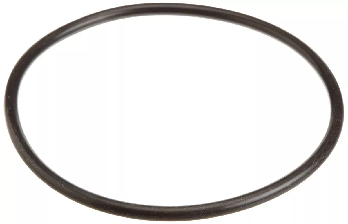 Pentair U9-229 O-Ring for Trap Cover Replacement for Select Sta-Rite Pool and Spa Pump